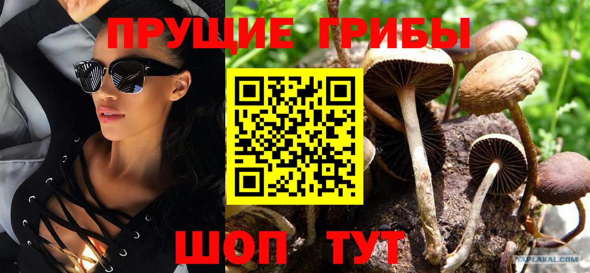 Псилоцибиновые грибы ЛСД Дубна